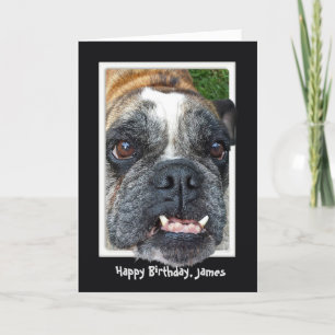 Carte Anniversaire de Bulldog