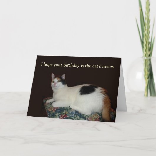 Carte Anniversaire de Calico Cat (Devant)