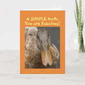 Carte Anniversaire de canard simple (Devant)