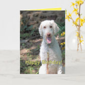 Carte Anniversaire de caniche (Fleur jaune)