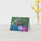 Carte Anniversaire de Capy de Caplin Rous (Fleur jaune)