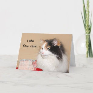 Carte Anniversaire de chat de calicot
