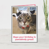 Carte Anniversaire de chat drôle (Devant)