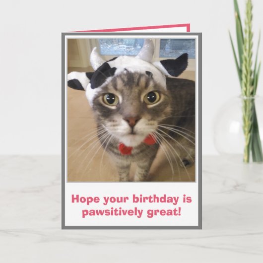 Carte Anniversaire de chat drôle (Devant)