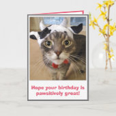Carte Anniversaire de chat drôle (Fleur jaune)