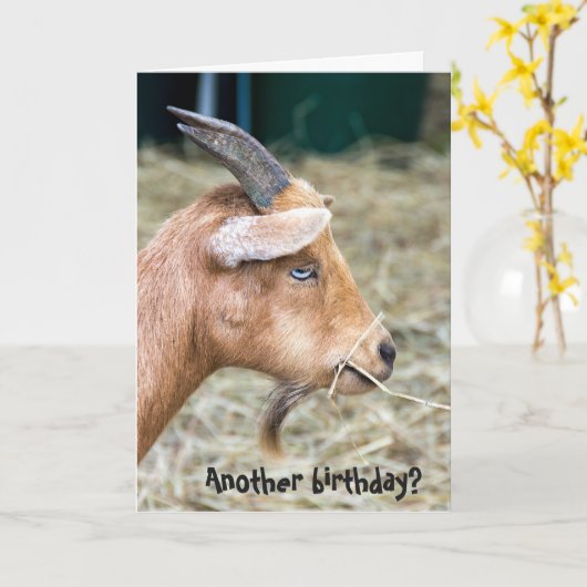 Carte anniversaire de chèvre de billy (Fleur jaune)
