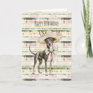 Carte Anniversaire de Chien Chihuahua à Rayures Rose Ver