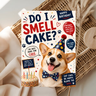 Carte Anniversaire de chien drôle