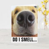 CARTE ANNIVERSAIRE DE CHIENS AMUSANTS, GÂTEAU D'ANNIVERS (Fleur jaune)