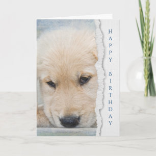 Carte anniversaire de chiot de golden retriever