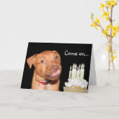 Carte anniversaire de chiot Pitbull (Fleur jaune)
