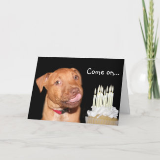 Carte anniversaire de chiot Pitbull