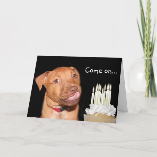 Carte anniversaire de chiot Pitbull (Devant)