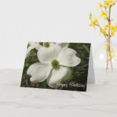 Carte Anniversaire de cornouiller (Fleur jaune)