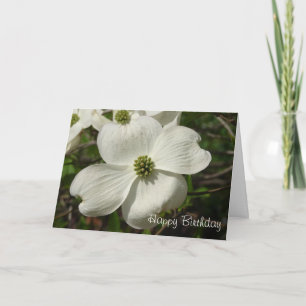 Carte Anniversaire de cornouiller