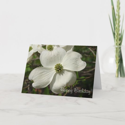 Carte Anniversaire de cornouiller (Devant)