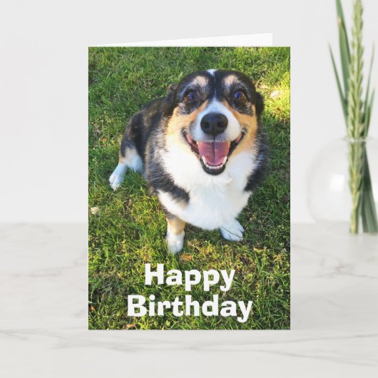 Carte Anniversaire de Cute Corgi (Devant)