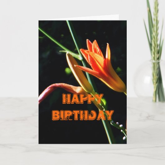 Carte Anniversaire de Daylilies de Crayola joyeux (Devant)