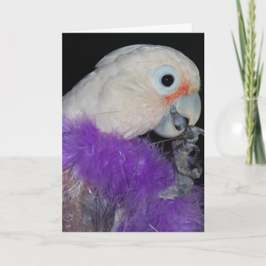 Carte Anniversaire de Diva-ish (Devant)