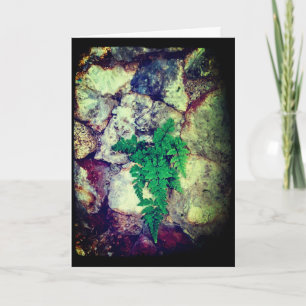 Carte Anniversaire de Fern et Geodes