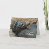 Carte Anniversaire de Funny Gorilla (Devant)