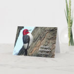 Carte Anniversaire de Girlfriend, Pic à tête rouge<br><div class="desc">Un pic à tête rouge est présenté sur cette carte d'anniversaire (BIRDday) pour une petite amie.</div>