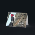 Carte Anniversaire de Girlfriend, Pic à tête rouge<br><div class="desc">Un pic à tête rouge est présenté sur cette carte d'anniversaire (BIRDday) pour une petite amie.</div>
