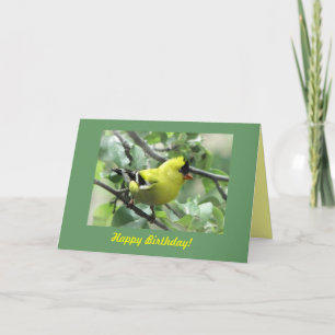 Carte Anniversaire de Goldfinch