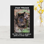 Carte Anniversaire de Gopher (Fleur jaune)