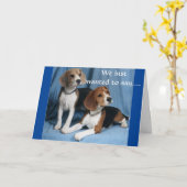 CARTE "ANNIVERSAIRE DE GROUPE - LE BEAGLE VOUS SOUHAITE (Fleur jaune)