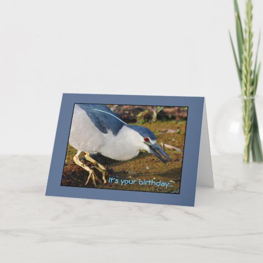 Carte Anniversaire de héron de nuit (Devant)