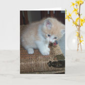 Carte Anniversaire de Kitty (Fleur jaune)