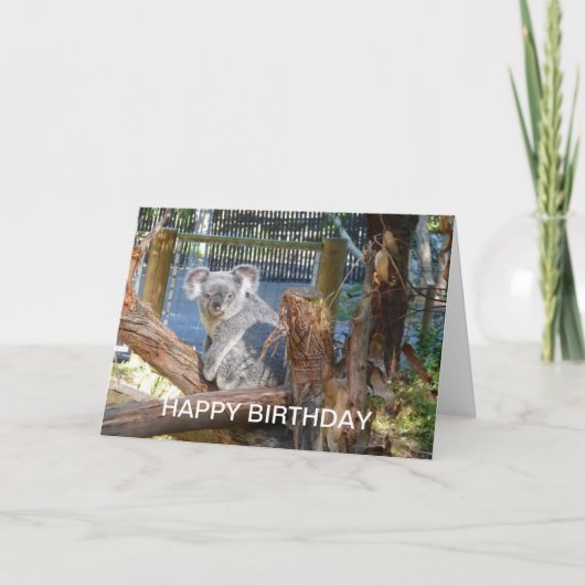 Carte Anniversaire de Koala (Devant)