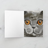 Carte Anniversaire de la dame du chat | OMG ! C'est ton  (Intérieur)