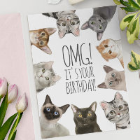 Anniversaire de la dame du chat | OMG ! C'est ton