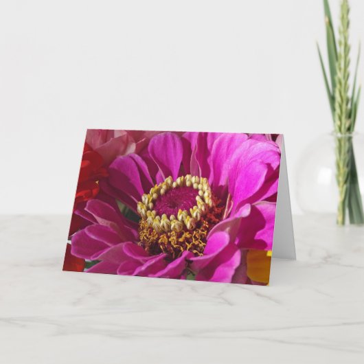 Carte Anniversaire de la fille avec la fleur rose Zinnia (Devant)