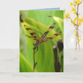 Carte Anniversaire de la libellule (Fleur jaune)