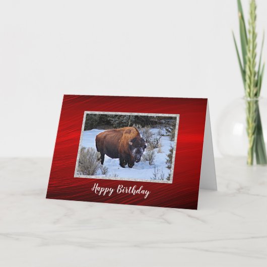 Carte Anniversaire de la photo de neige de Buffalo (Devant)