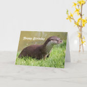 Carte Anniversaire de la photo d'Otter (Fleur jaune)