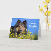 Carte Anniversaire de la photo florale de Sheltie (Fleur jaune)