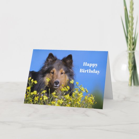 Carte Anniversaire de la photo florale de Sheltie (Devant)