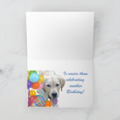 Carte Anniversaire de la vieillesse (Intérieur)