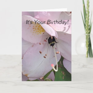 Carte Anniversaire de l'abeille
