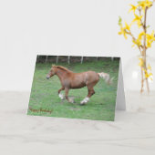 Carte Anniversaire de l'épicerie galloise (Fleur jaune)