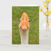Carte Anniversaire de l'oie sotte (Fleur jaune)