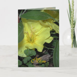 Carte Anniversaire de maman