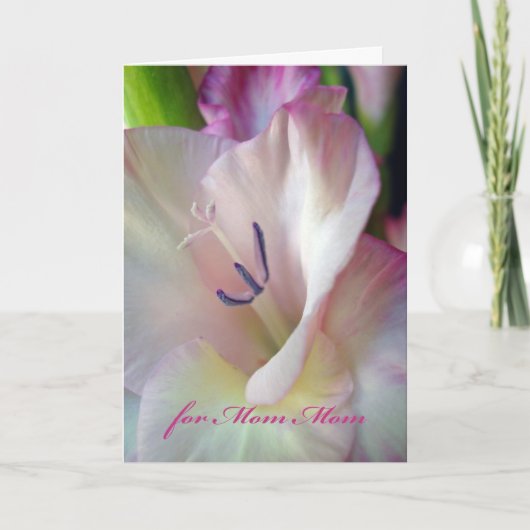 Carte Anniversaire de Maman, Gladiolus rose, Photo Macro (Devant)