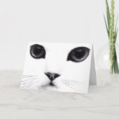 Carte Anniversaire de Meow (Devant)