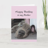 Carte Anniversaire de mon Humour de détente de chien amu (Devant)