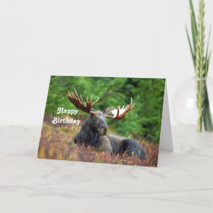 Carte Anniversaire de Moose